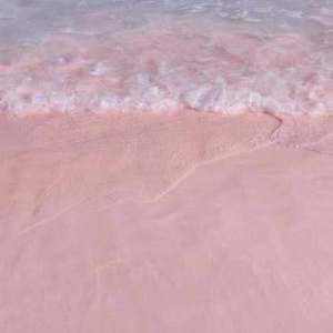 啊啊啊骚护士视频
