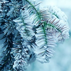 啊啊啊骚护士视频
