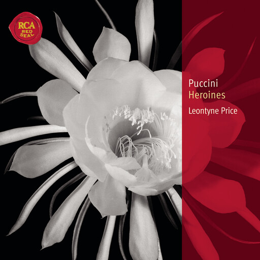 啊啊啊骚护士视频
